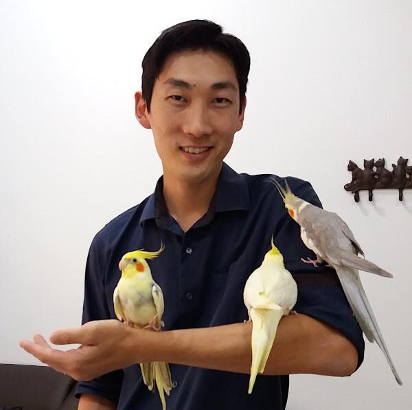 Veterinário de Aves em São Carlos | Clínica Melhor Amigo 1 Check-up calopsitas
