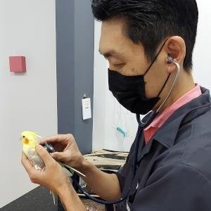dr-fabio-consulta-calopsita-300px.jpg