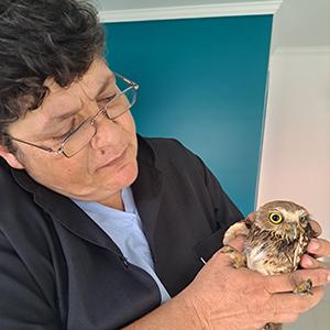 Dra. Rosely cuidando de uma corujinha