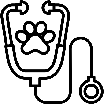 Animais Exóticos e Silvestres | Veterinária Melhor Amigo 7 005 stethoscope e1781095745607