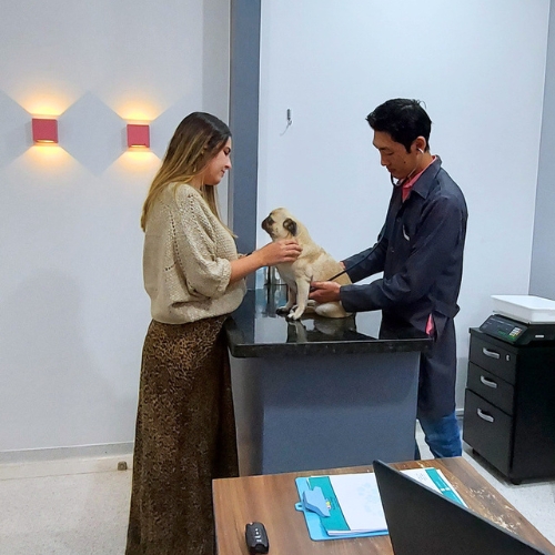 Vacinação Cachorro