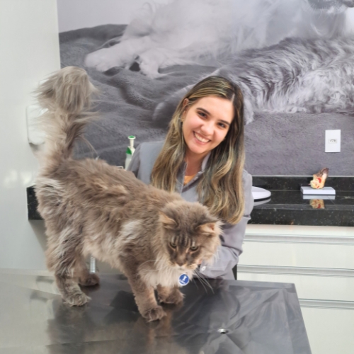 Vacina gatos