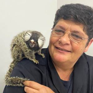 Animais Exóticos e Silvestres | Veterinária Melhor Amigo 6 dra rosely sagui