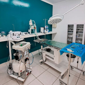 Sala de cirurgia da Clínica Veterinária Melhor Amigo com Equipamentos Modernos para Odontologia Veterinária em São Carlos