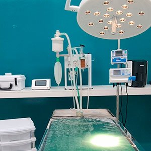Veterinário para Coelhos em São Carlos | Clínica Melhor Amigo 22 Sala de Cirurgia da Clínica Veterinária Melhor Amigo, em São Carlos SP